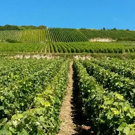 Les Glycines - Maison Avec Bel Exterieur